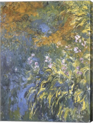 Yellow Iris by Claude Monet