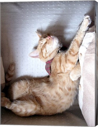 Just Stretchin