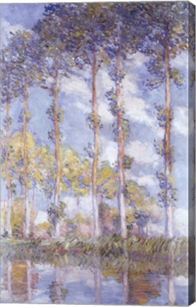 The Poplars, 1881 by Claude Monet
