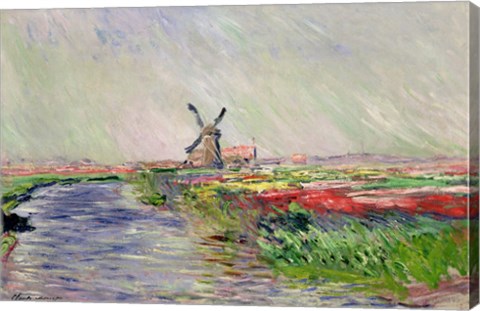 Tulip Field in Holland by Claude Monet