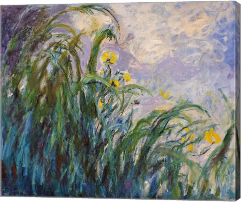 The Yellow Iris by Claude Monet