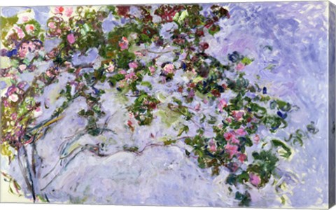 The Roses, 1925-26 by Claude Monet