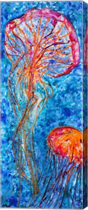 Jellyfish Duo by Natalie Talocci