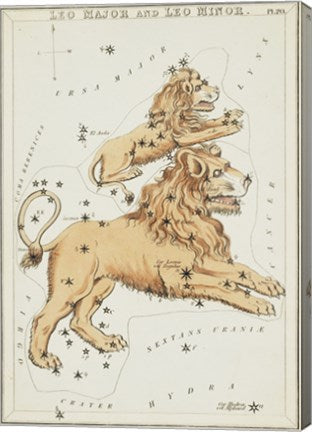 Leo Major and Leo Minor Constellation