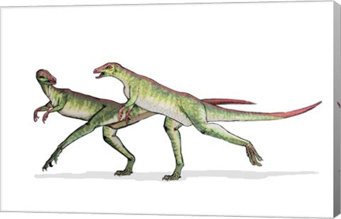 Lesothosaurus