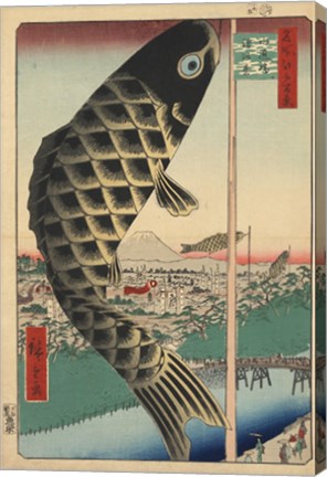 Koi Kites