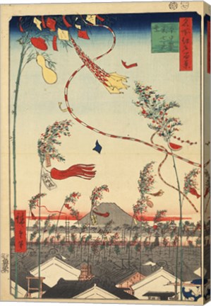 Kites