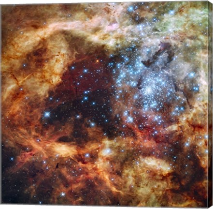 Hubble's Festive View of a Grand Star-Forming Region by NASA, ESA, STScl