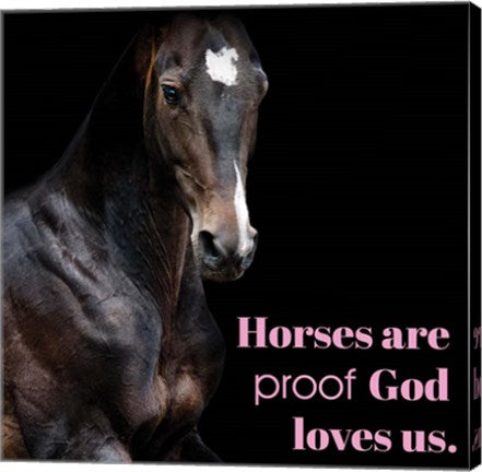 Horse Quote 8 by Sports Mania