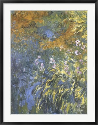Yellow Iris by Claude Monet
