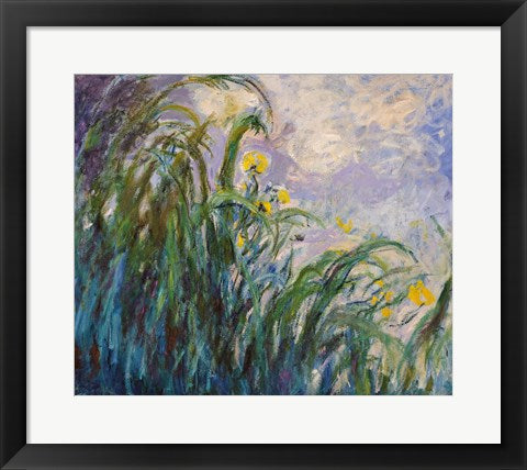 The Yellow Iris by Claude Monet
