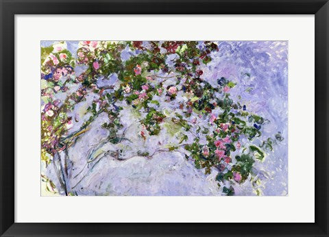 The Roses, 1925-26 by Claude Monet