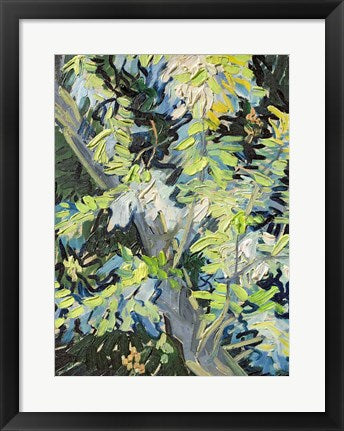 Acacia in Flowe by Vincent Van Gogh