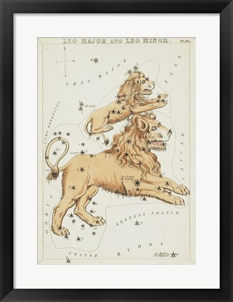 Leo Major and Leo Minor Constellation