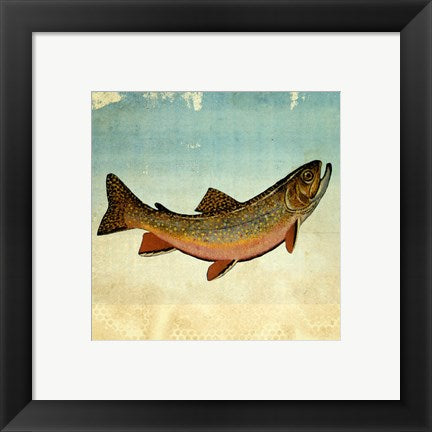 Brown Trout I