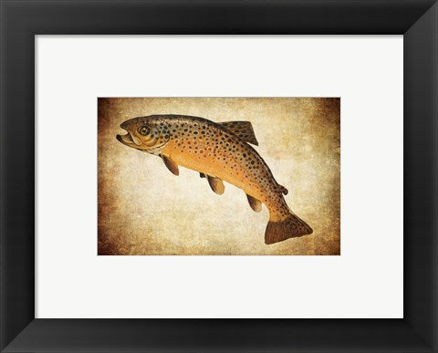 Brown Trout II