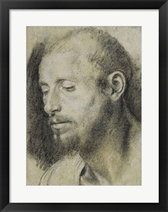 Study of the Head of a Bearded Man by Giovanni Girolamo Savoldo