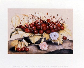 Piatto di Baccelli by Giovanni Garzoni Wall Art Décor 10 x 12 inch Art Print