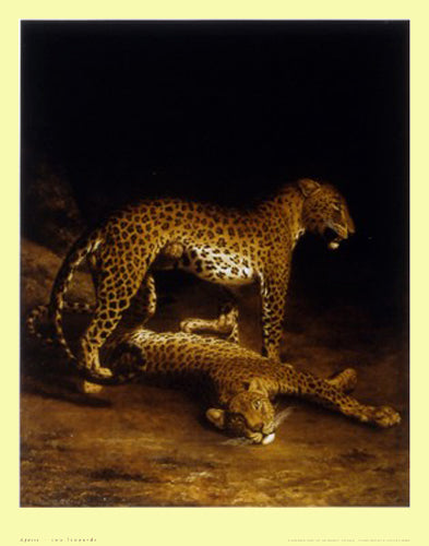 Two Leopards by Jacques-Laurent Agasse Wall Art Décor 28 x 22 inch Art Print