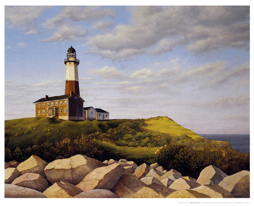Turtle Cove Hill by Daniel Pollera Wall Art Décor 23 7/8 x 29 1/2 Art Print