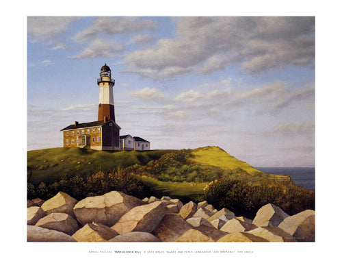 Turtle Cove Hill Art Print by Daniel Pollera - Serene Coastal Wall Décor 9x11.75 inch