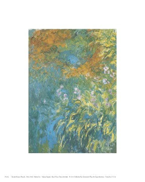 Yellow Iris by Claude Monet - Small Floral Art Print 10x8 inch