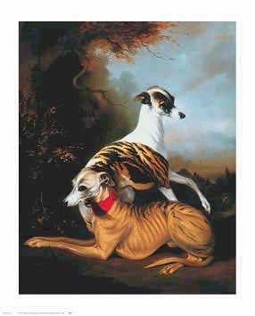 Whippetts, 1981 by Bernard de Claviere Wall Art Décor 32 x 26 Art Print