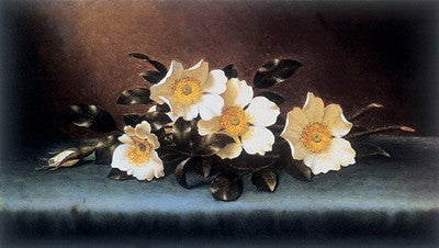 Four Cherokee Roses by Martin Johnson Heade Wall Art Décor 24 x 36 Art Print
