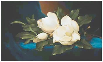 Magnolias by Paul Cordsen - Large Floral Wall Art Print - 26x43 inch