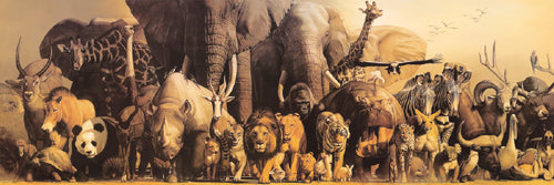 Noah's Ark by Haruko Takino Wall Art Décor 11 3/4 x 35 1/4 Art Print