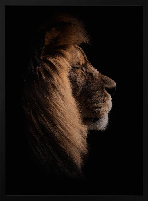 Sleeping King Framed Art Peter Schade | Home or Office Art