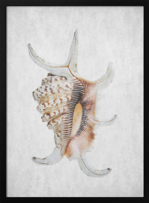 Spring Tide 03 - Shot by Clint Framed Art | Home or Office Art