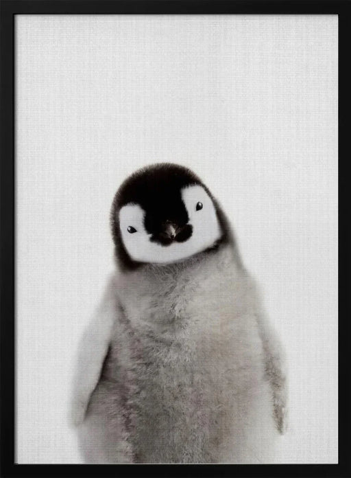 Peekaboo Baby Penguin Framed Art Lola Peacock | Home or Office Art