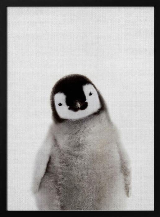 Peekaboo Baby Penguin Framed Art Lola Peacock | Home or Office Art