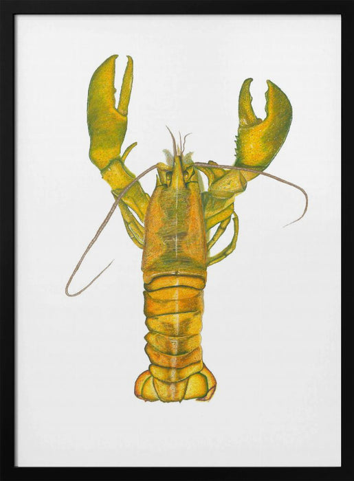 Lobster - Akintunde Durodola Framed Art | Home or Office Art