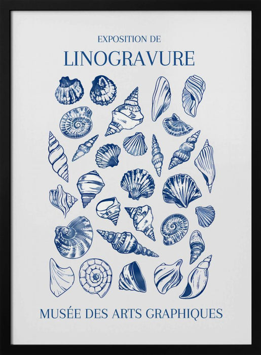 Lino Seashell Art Market - Jolly and Dash Framed Art | Home or Office Art