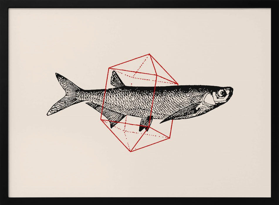 Fish In Geometrics Nº2 - Florent Bodart Framed Art | Home or Office Art