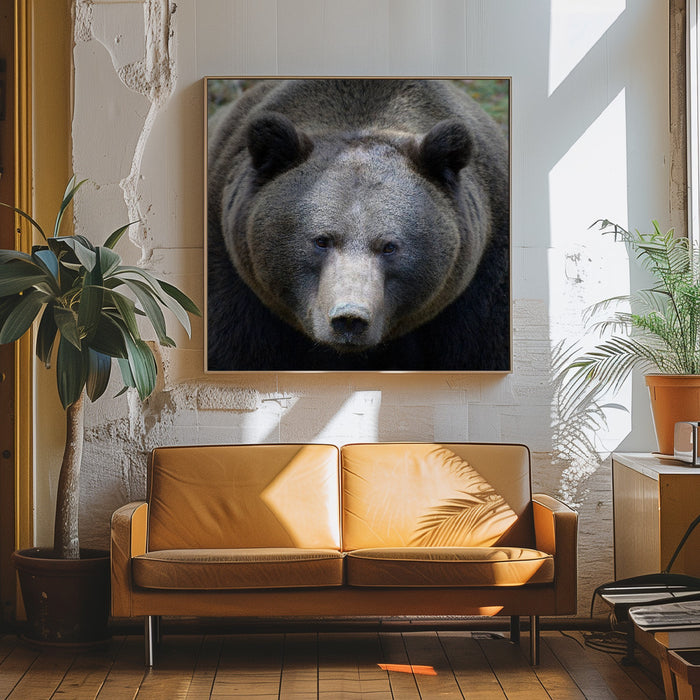 The Bear's look by Drago Vogrinec Square Canvas Print Art for Modern Home Decor. Decorate your office or living room with canvas artwork