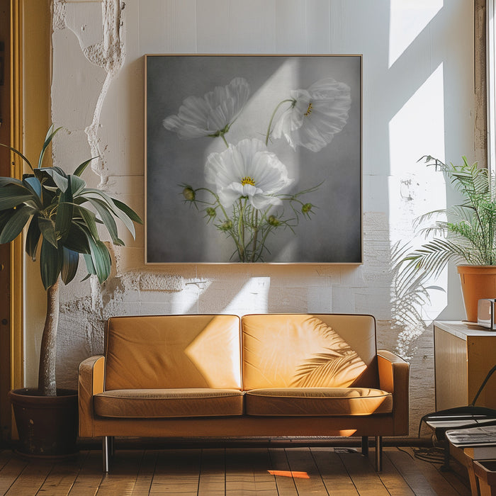 Cosmos Charm Square Canvas Art Mandy Disher