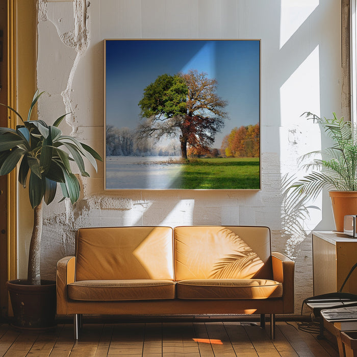 4 seasons by Adam Brzuszek Square Canvas Print Art for Modern Home Decor. Decorate your office or living room with canvas artwork