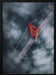 GGB from above Framed Art David George | Home or Office Art
