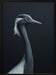 La Demoiselle Framed Art fegari | Home or Office Art