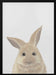 Rabbit Framed Art Pictufy Studio II | Home or Office Art