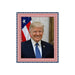 Donal Trump Red White and Blue Picture Frame Wall Hanging MADE IN USA  shopmodernmemory.com 