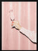 Here's To Pink 02 - Pictufy Studio III Framed Art | Home or Office Art