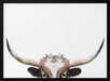 Peeking Longhorn Cow Framed Art Kathrin Pienaar | Home or Office Art