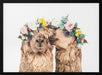 Boho Alpacas Framed Art Kathrin Pienaar | Home or Office Art