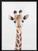 Baby Giraffe Framed Art Kathrin Pienaar | Home or Office Art