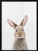 Baby Rabbit Framed Art Kathrin Pienaar | Home or Office Art