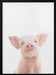 Baby Pig Framed Art Kathrin Pienaar | Home or Office Art